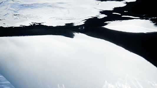 Theory | Starbucks Creative Expression